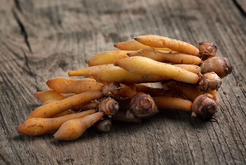 healing-properties-of-ginseng-in-chinese-medicine